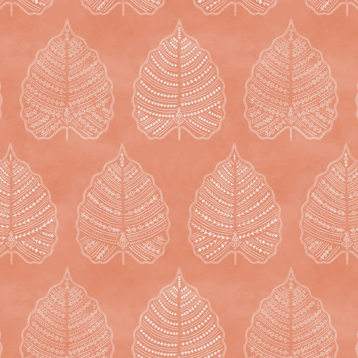 Larkspur - Rosé