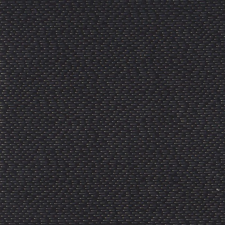Petaluma - Glitter Graphite /  Fabric Yardage - 3 yards