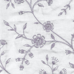 Lalbagh - Jacaranda Lilac